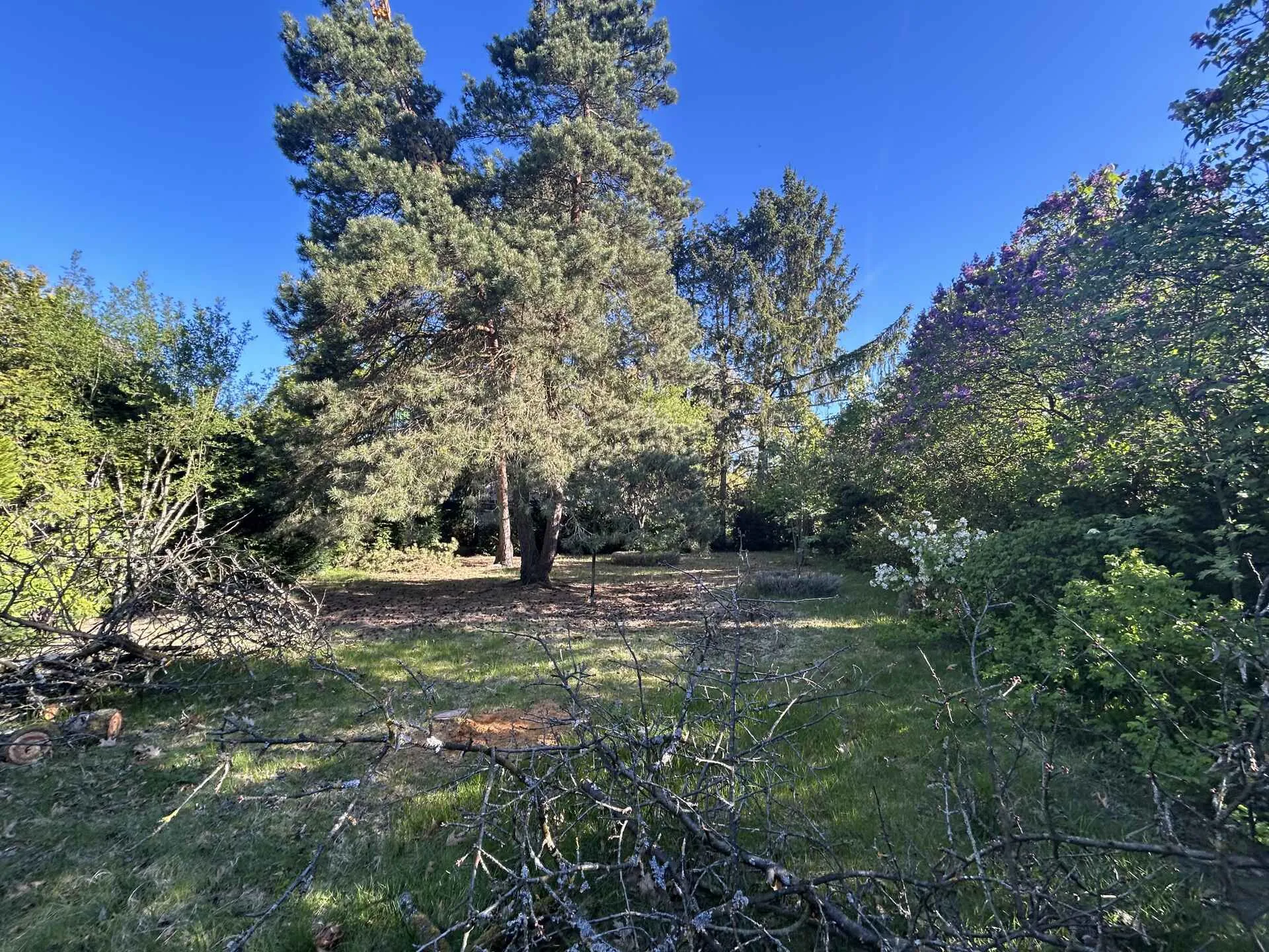 Immobilienangebot - Geesthacht - Alle - Handwerker aufgepasst! Einfamilienhaus mit Potential und weitläufigem Grundstück in Geesthacht